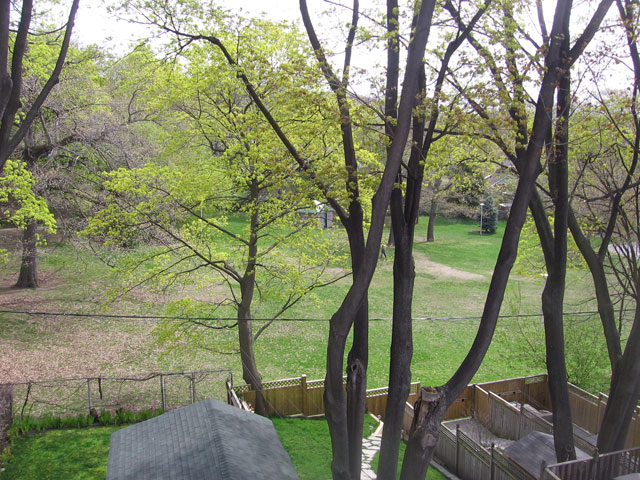 View of a Toronto Property back yard (Listing)
